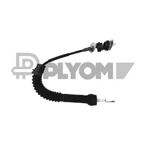 P038324 PLYOM