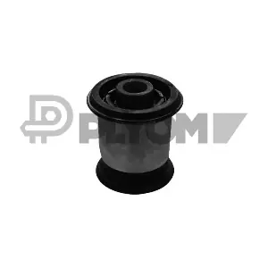 PLYOM P755384