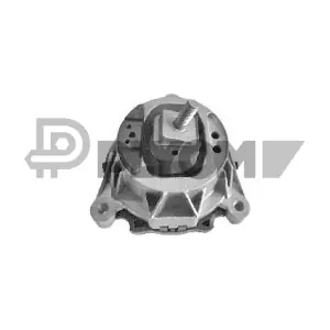PLYOM P769970