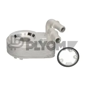 P011221 PLYOM