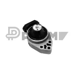 P756496 PLYOM