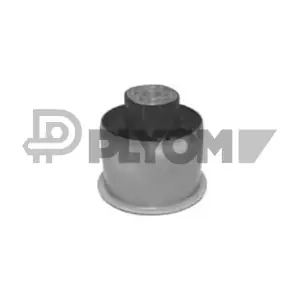 P755682 PLYOM