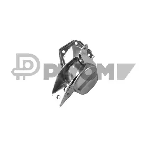 PLYOM P756084