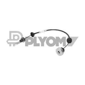P038282 PLYOM