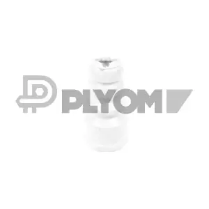 P762422 PLYOM