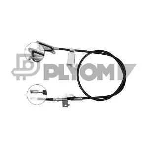 P761861 PLYOM
