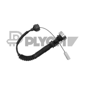 038465 PLYOM
