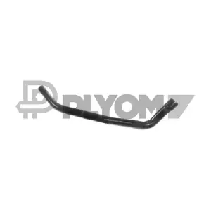 P486133 PLYOM