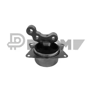 P755969 PLYOM