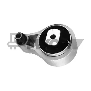 PLYOM P482528