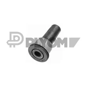 P031676 PLYOM