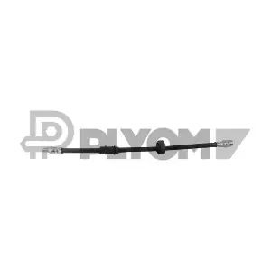P010019 PLYOM