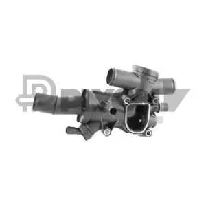PLYOM P772542