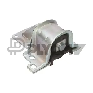 P031690 PLYOM
