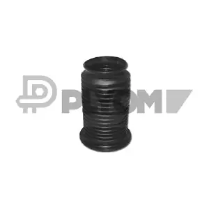 PLYOM P011088