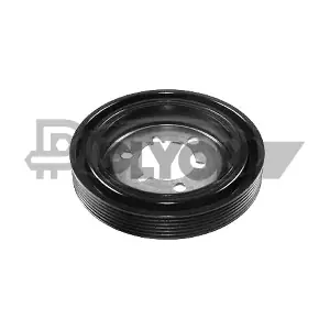 P030961 PLYOM