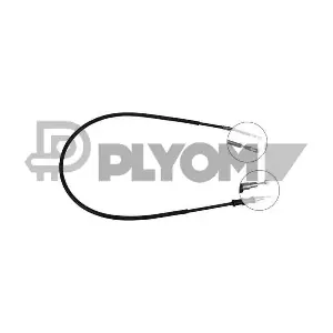 P763181 PLYOM