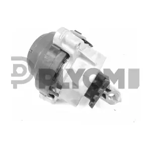 P777243 PLYOM