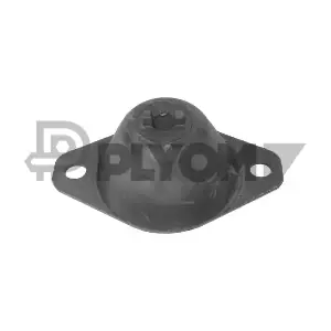 P020884 PLYOM