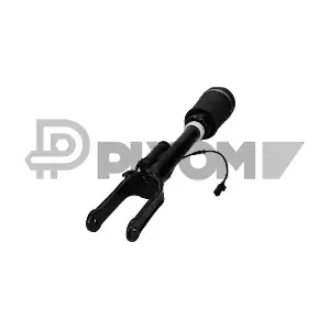 P751965 PLYOM