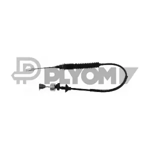 P038455 PLYOM