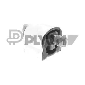 P761858 PLYOM