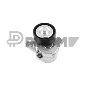 P751717 PLYOM