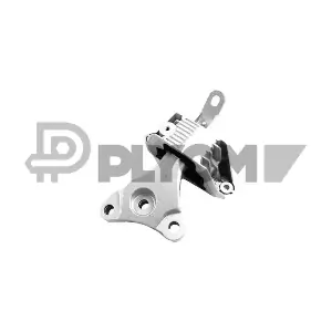 760590 PLYOM