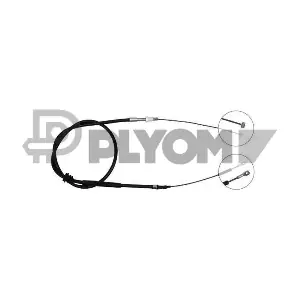 P762873 PLYOM
