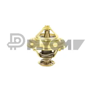 PLYOM P772145