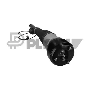 P751963 PLYOM