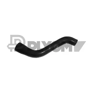 PLYOM P486158