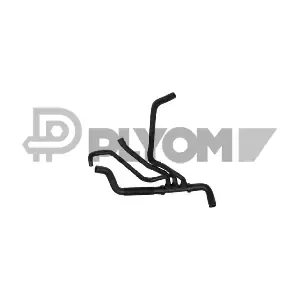 481213 PLYOM