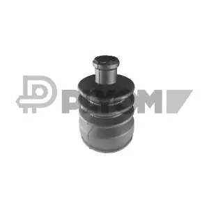 P240006 PLYOM