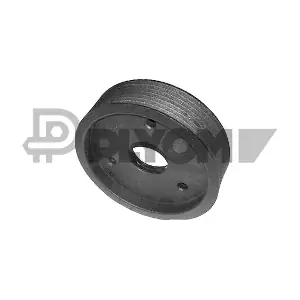 P754682 PLYOM
