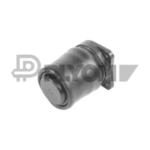 P753206 PLYOM