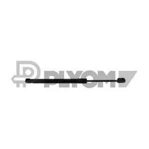 P773325 PLYOM