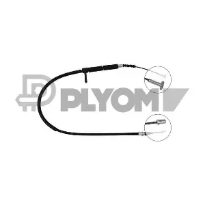 P019032 PLYOM