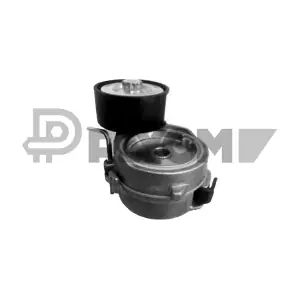 PLYOM P772195