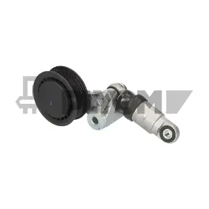 P751889 PLYOM