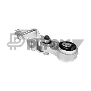 P755904 PLYOM