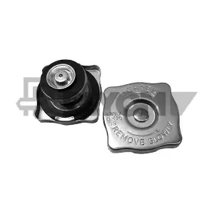 P954097 PLYOM