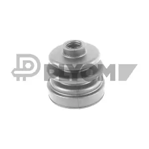 P751256 PLYOM