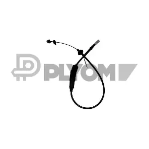P762938 PLYOM