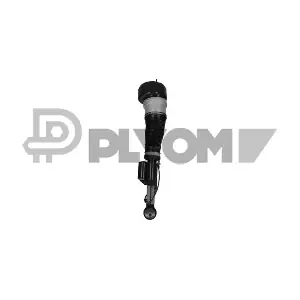 P752125 PLYOM