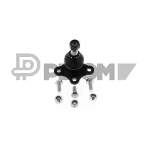 P774279 PLYOM