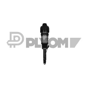 P752145 PLYOM