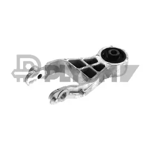 P482529 PLYOM