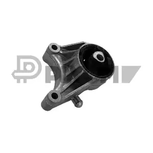 PLYOM P755964
