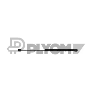 P773389 PLYOM